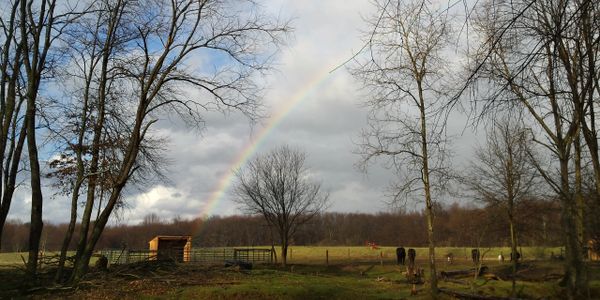 Otter Creek Farm Sanctuary